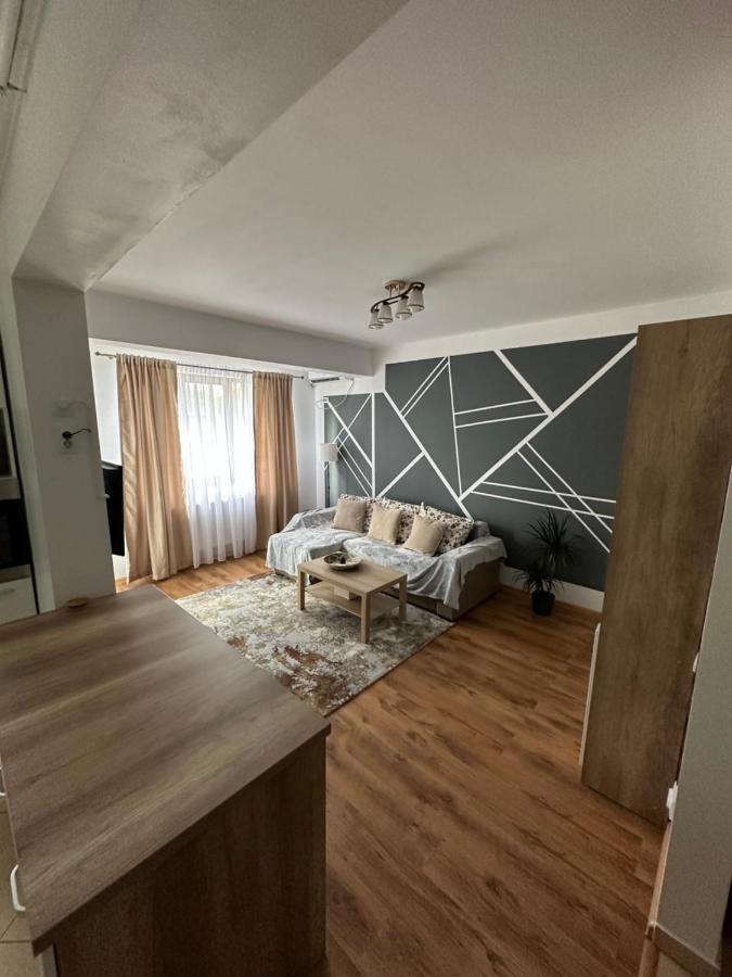 Apartament In Cartierul Verde ! Apartment Bucharest